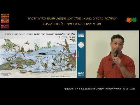 וִידֵאוֹ: מהם המאפיינים של מערכת אקולוגית בשפך?