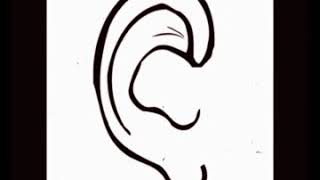 Extremely Loud Dog Whistle