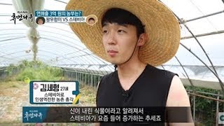 스테비아로 인생역전한 청년 농부!