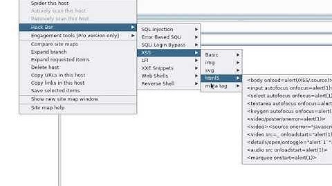 HackBar Extension for BurpSuite - Vanquishsecurity.net