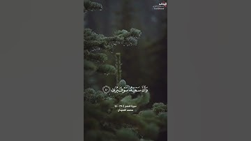 ﴿وأن ليس للإنسان إلا ما سعى...﴾ [النجم:٣٩-٤٤] || القارئ محمد اللحيدان