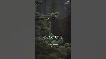 وأن ليس للإنسان إلا ما سعى النجم ٣٩ ٤٤ القارئ محمد اللحيدان 