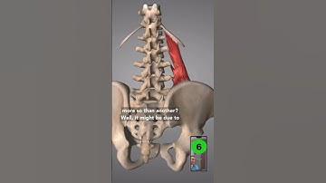 How To Fix A TIGHT Low Back!🤯