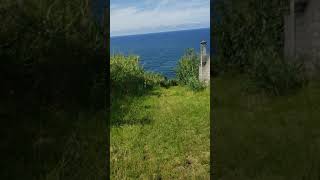 Praia da Viola, lomba da Maia, Açores_4