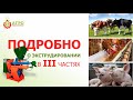 Что такое экструдированные корма? Как делаются? Как влияют на животных?