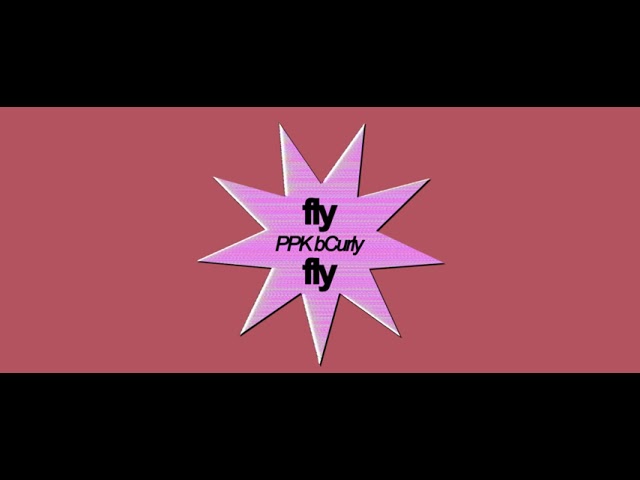 Watch PPK bCurly-FLY on YouTube Watch PPK bCurly-FLY on YouTube