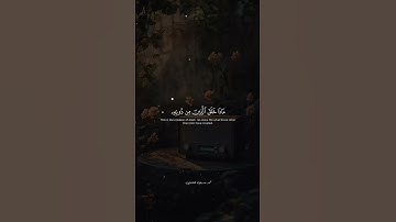 الشيخ محمد صديق المنشاوي | سورة لقمان #المصحف #quran #القرآن_الكريم #المنشاوي #سورة_لقمان #قرآن
