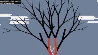 15-112 Spider Web Simulator screenshot 5