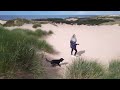 a day out at Formby beach