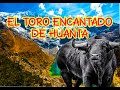 TORO ENCANTADO DE HUANTA (leyenda)