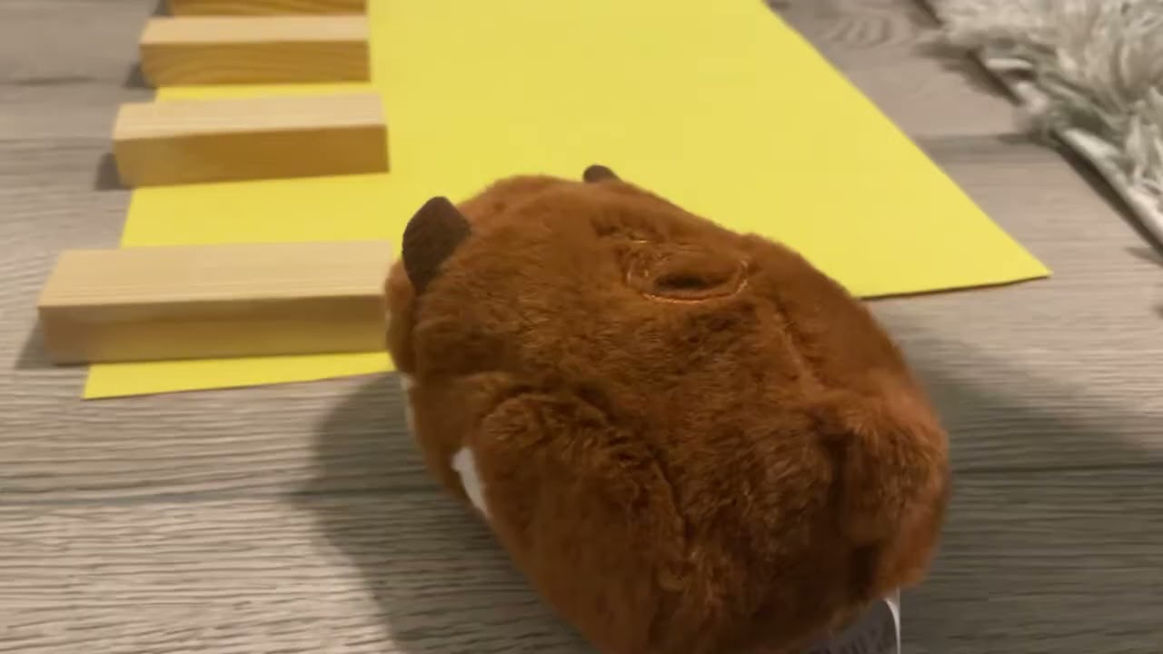 Zhu Zhu ￼long jump