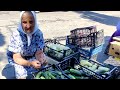 Цены продуктов на рынке в Украине. Напали цыгане .