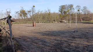 Enkel Voudige Slalom