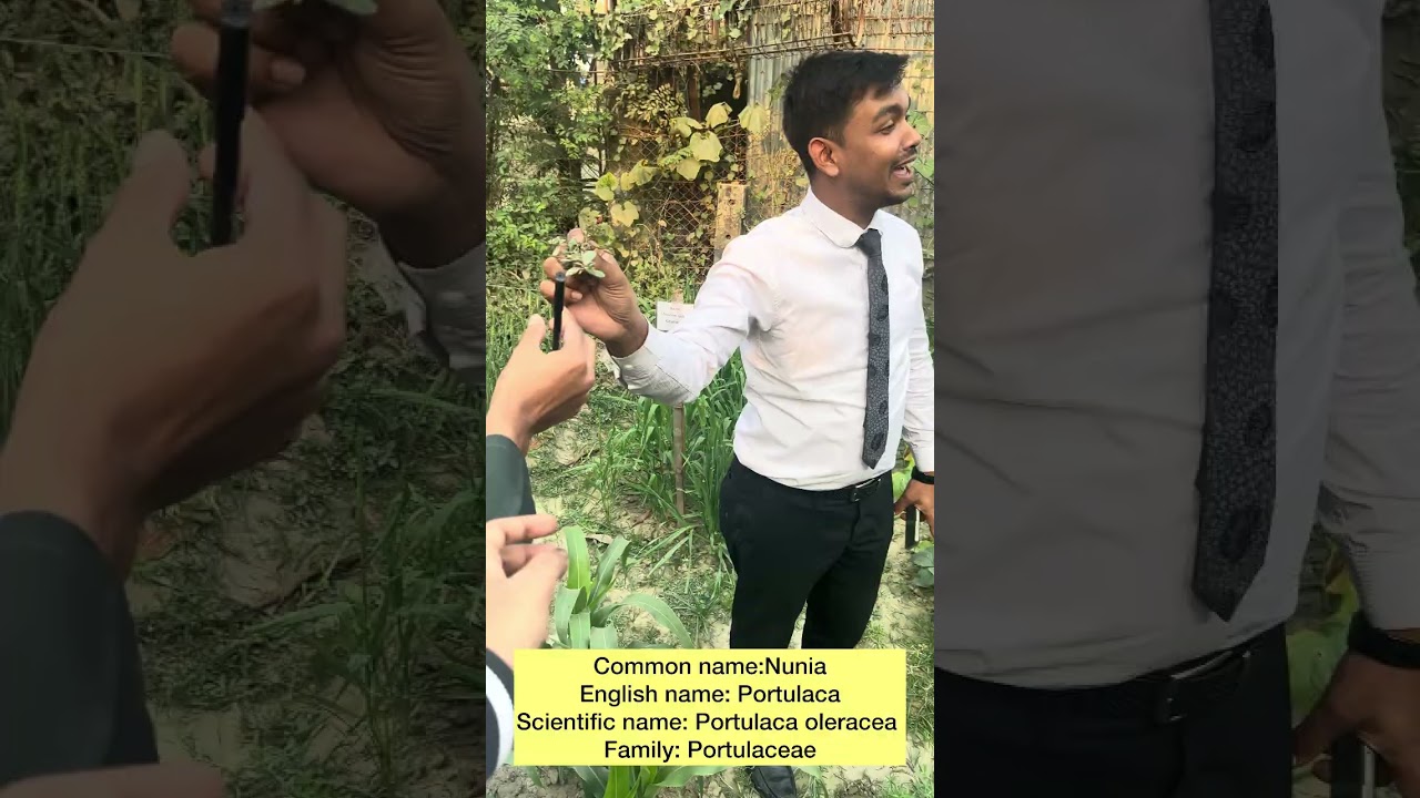 20 Weed Identification Agronomy Lab in IUBAT