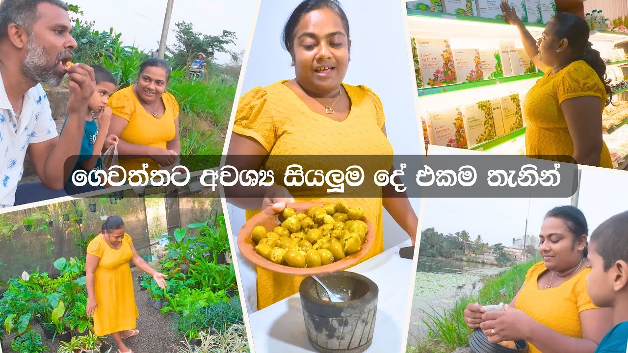 ඔයත් ගෙවතු වගාව කරන කෙනෙක් නම් යන්නම ඕන තැනක් මේක - VeggeMaster