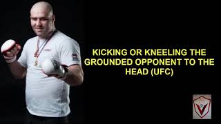Top 4 Highly Controversial Mma Disqualification Rules