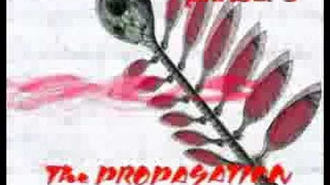 dotHack Mutation (26) Phase 3 - Magus