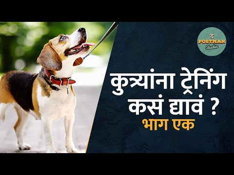 कुत्र्यांना ट्रेनिंग कसं द्यावं ? भाग १  | Dr Anand Deshpande | The Postman Studio