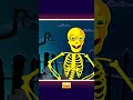 ⏰💀Chumbala Cachumbala – เพลงปาร์ตี้โครงกระดูกฮาโลวีน #shorts #spooky #kidssong #teeheetownthai