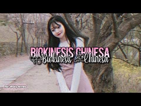 Vídeo: Descrição da aparência e características de uma pessoa chinesa