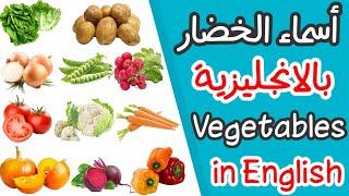 أسماء الخضار بالانجليزية 🍅🌽🥕 الخضروات بالانجليزية 🧅🥒 Vegetables in English