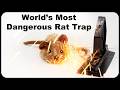 The World&#39;s Most Dangerous Mouse Trap - Crazy Electric Mouse Trap From China. Mousetrap Monday