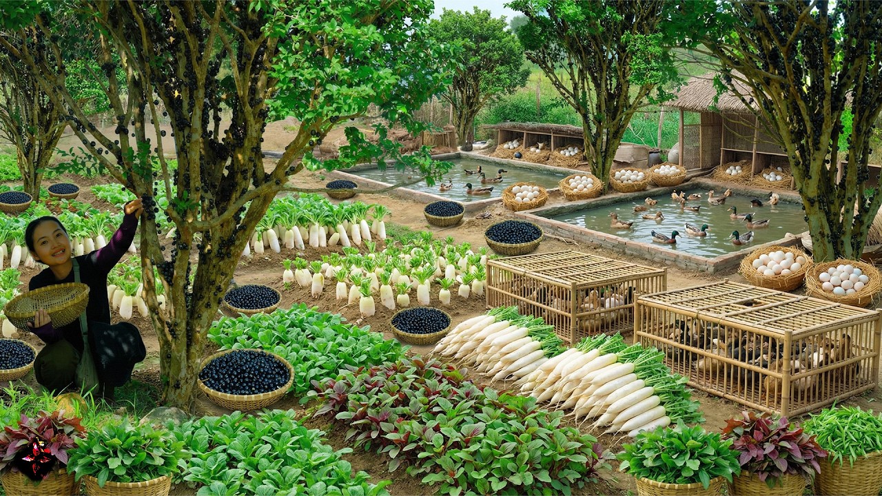 Relax With Harvest: Jaboticaba, Duck Eggs, White Radish, Amaranth Greens, Water Spinach, Star Apple