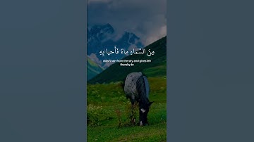 سورة العنكبوت - الآية 63 - الشيخ نعمة الحسان
