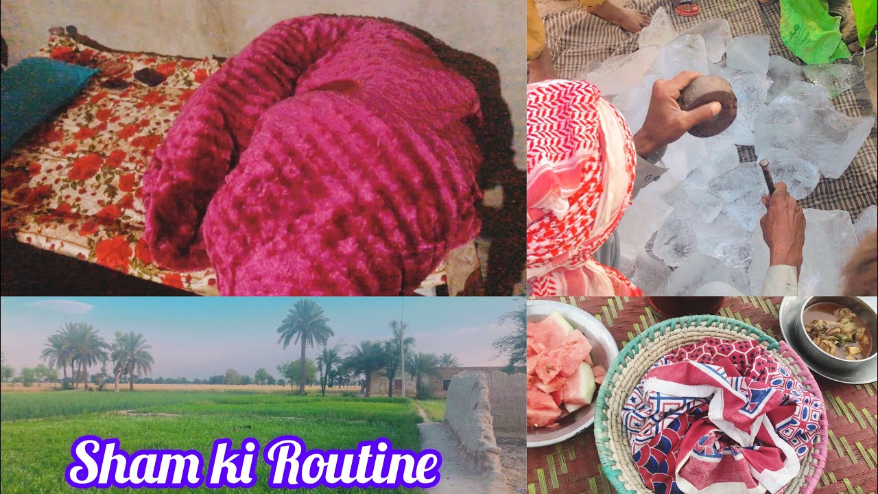 Sham Daily Routine Sham Ki Routine | Panjab Ki Life | Fouzia Vlogs - YouTube
