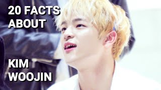 20 Facts about Stray Kids Kim Woojin