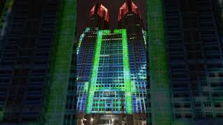The Guinness World Records Projection Mapping Display on Tokyo! "Tokyo Night & Lights"