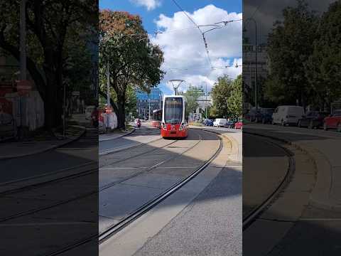 Video: San Diego Trolley-Linien und H altestellen