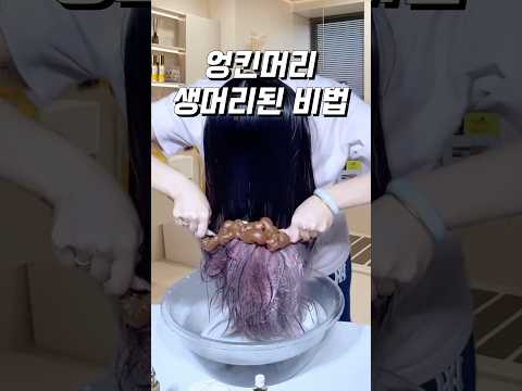 수세미도 촬랑하게 해준다는 트리트먼트_146.Karseell 손상모발용 콜라겐&오일 #꿀템