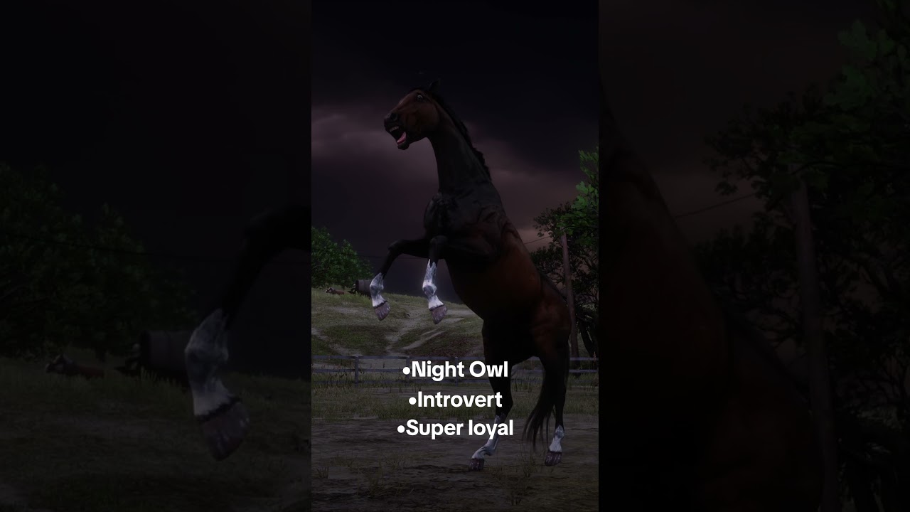 Which RDR2 Horse are you? 🤔🐎 