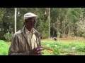 Agricultura Urbana en Cuba 3/3