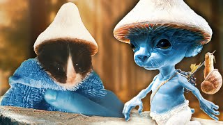 We live we love we lie but REAL SMURF CAT by Bukaka Meme 153,213 views 7 months ago 35 seconds