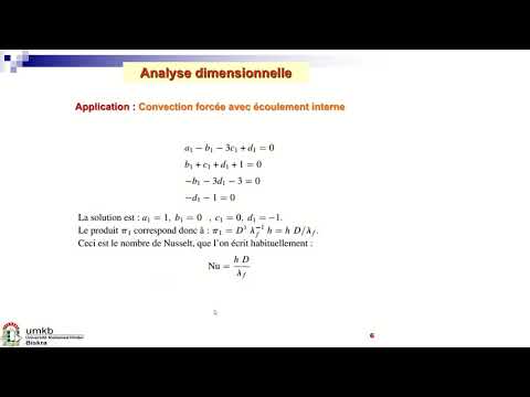 Vidéo: Analyse Du Transport Convectif Et Diffusif Dans L'interstitium Cérébral