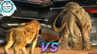 ماذا لو قام النمر ذو الاسنان السيفيه بمواجهة الماموث العملاق (smilodon Vs mammoth) ؟؟!