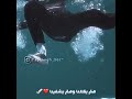 سلامة كنتي ملاكي انا عايش بظلامك Shorts سلامة كنتي ملاكي انا عايش بظلامك Shorts