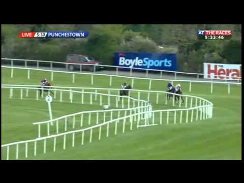 Vidéo de la course PMU THE PUNCHESTOWN CHAMPION HURDLE