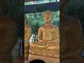 Gautam Buddha🙏#shorts#youtubeshorts#yt#gautambuddha#Jyotsana family vlogs
