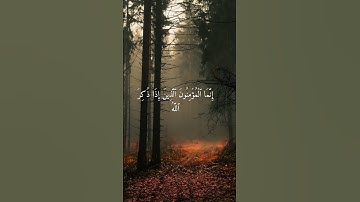 ما تيسر من سورة الأنفال  -  الشيخ سعد الغامدي