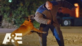 California K9 Team Wins with 5 SECONDS to Spare | America's Top Dog (Season 1) | A&E