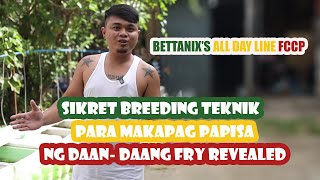 BETTANIX SECRET BREEDING TEKNIK REVEALED!!! PAPANO MAKAPAG PAPISA NG DAAN DAANG FRY
