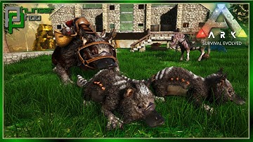 Breeding the Perfect Maewing for getting ALL the LOOT Ark Svart 26