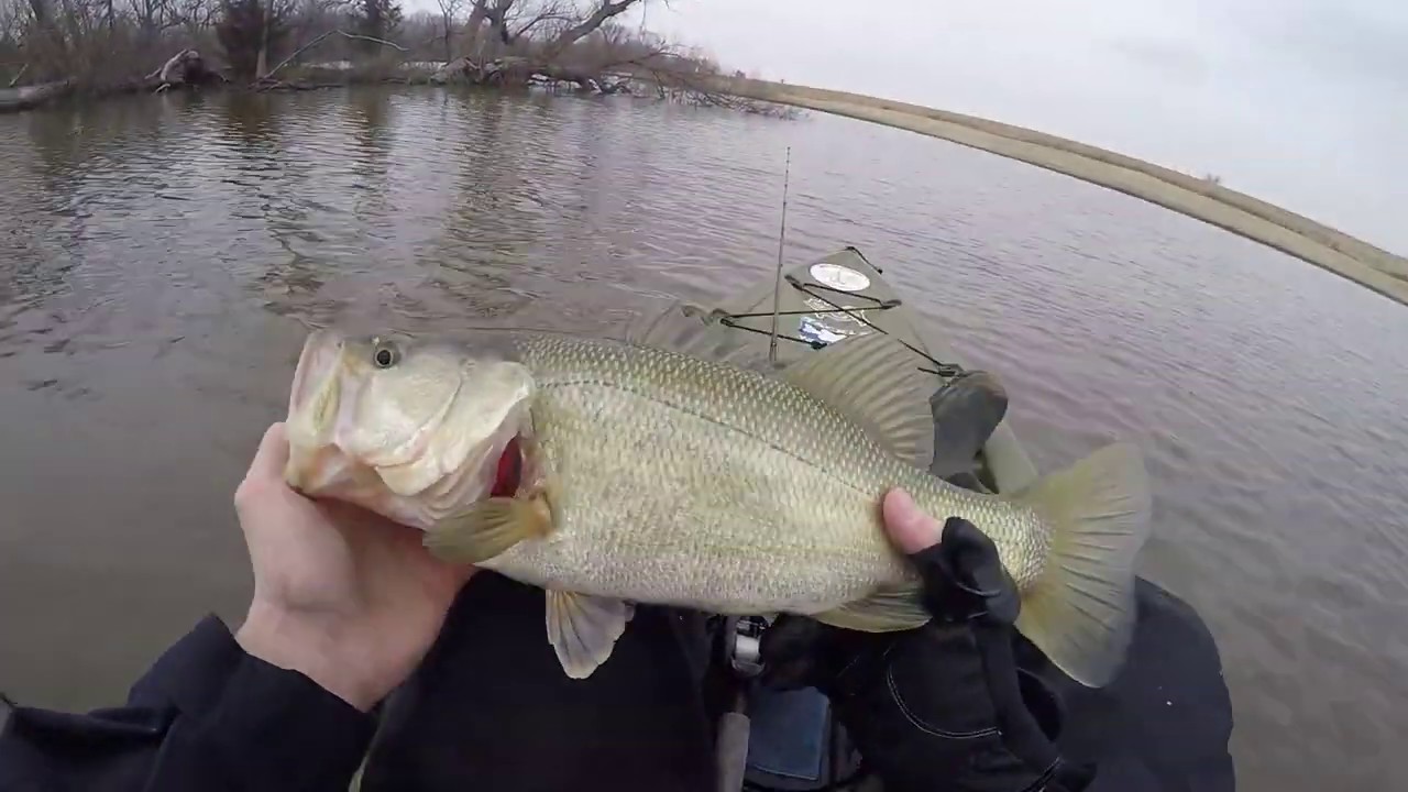 FIRST BASS OF THE YEAR + WINTER POND FISHING TIPS!! YouTube