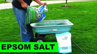 Using Milorganite to Apply Epsom Salt to your lawn