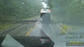 trees falling compilation #4