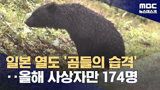 일본 열도 '곰들의 습격'‥올해 사상자만 174명 (2023.11.01/뉴스데스크/MBC)