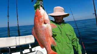 Catching big red snapper, triggerfish and grouper offshore in Panama City on 3-21-24.